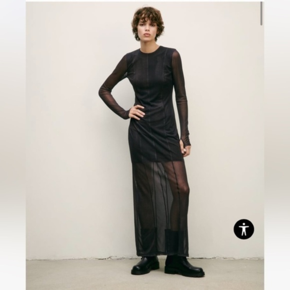 Zara Black Sheer Maxi Dress